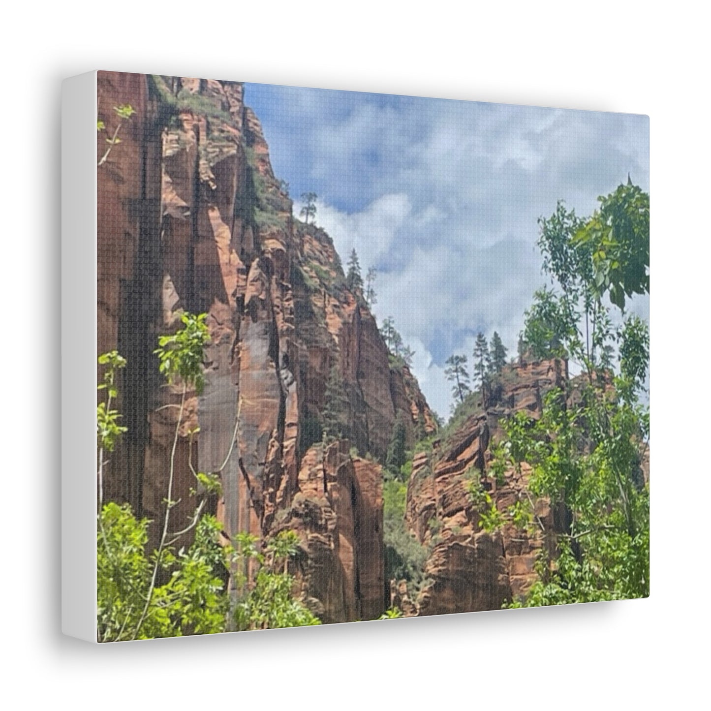 Canvas Gallery Wraps - Zion Trees and Mountains Wall Art - Graleske