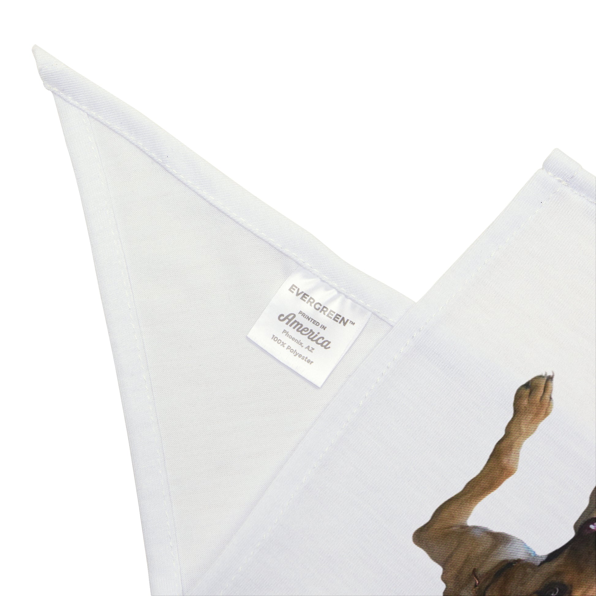 I have kitty issues - Pet Bandana - Graleske