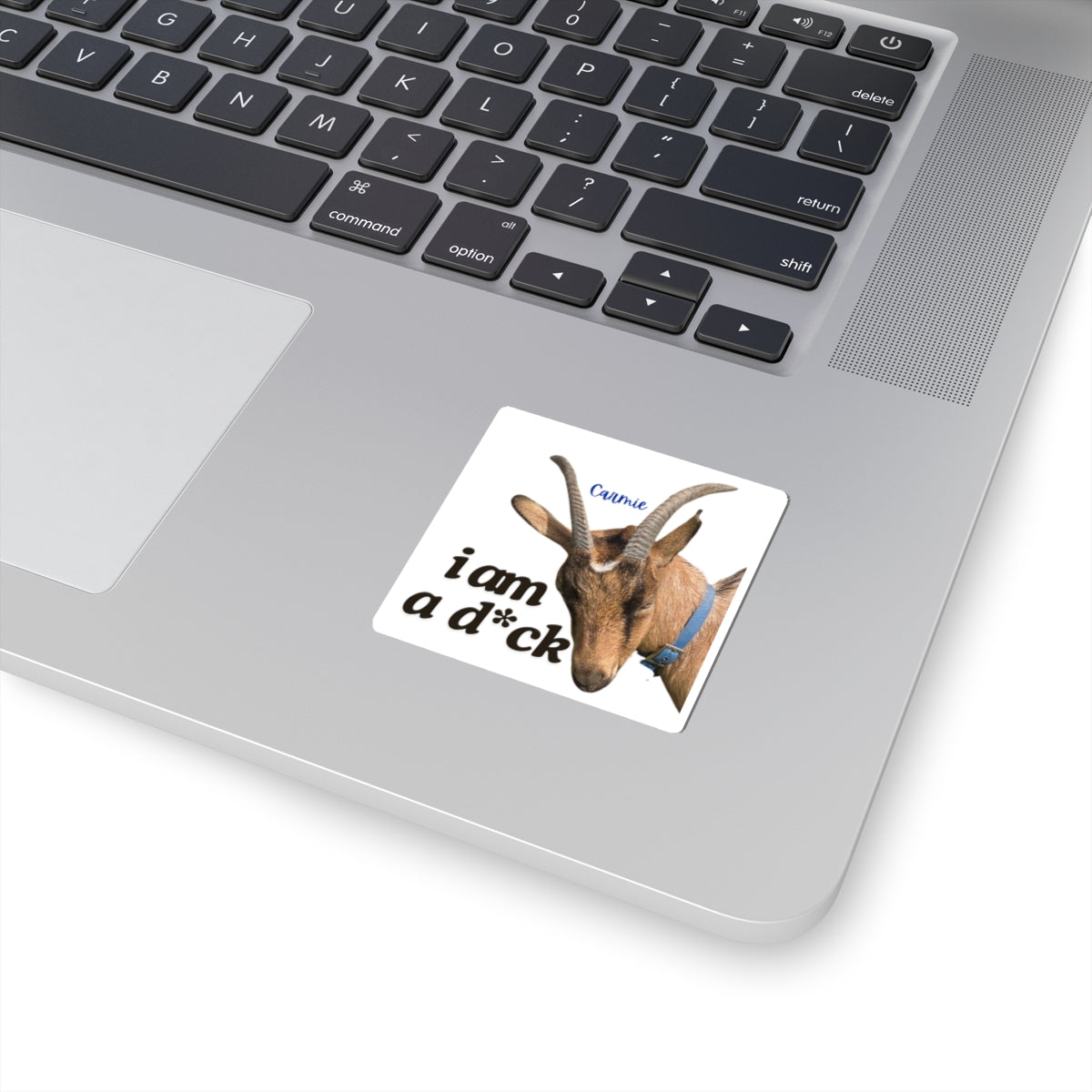 i am a d*ck Carmie - Kiss-Cut Stickers - Graleske