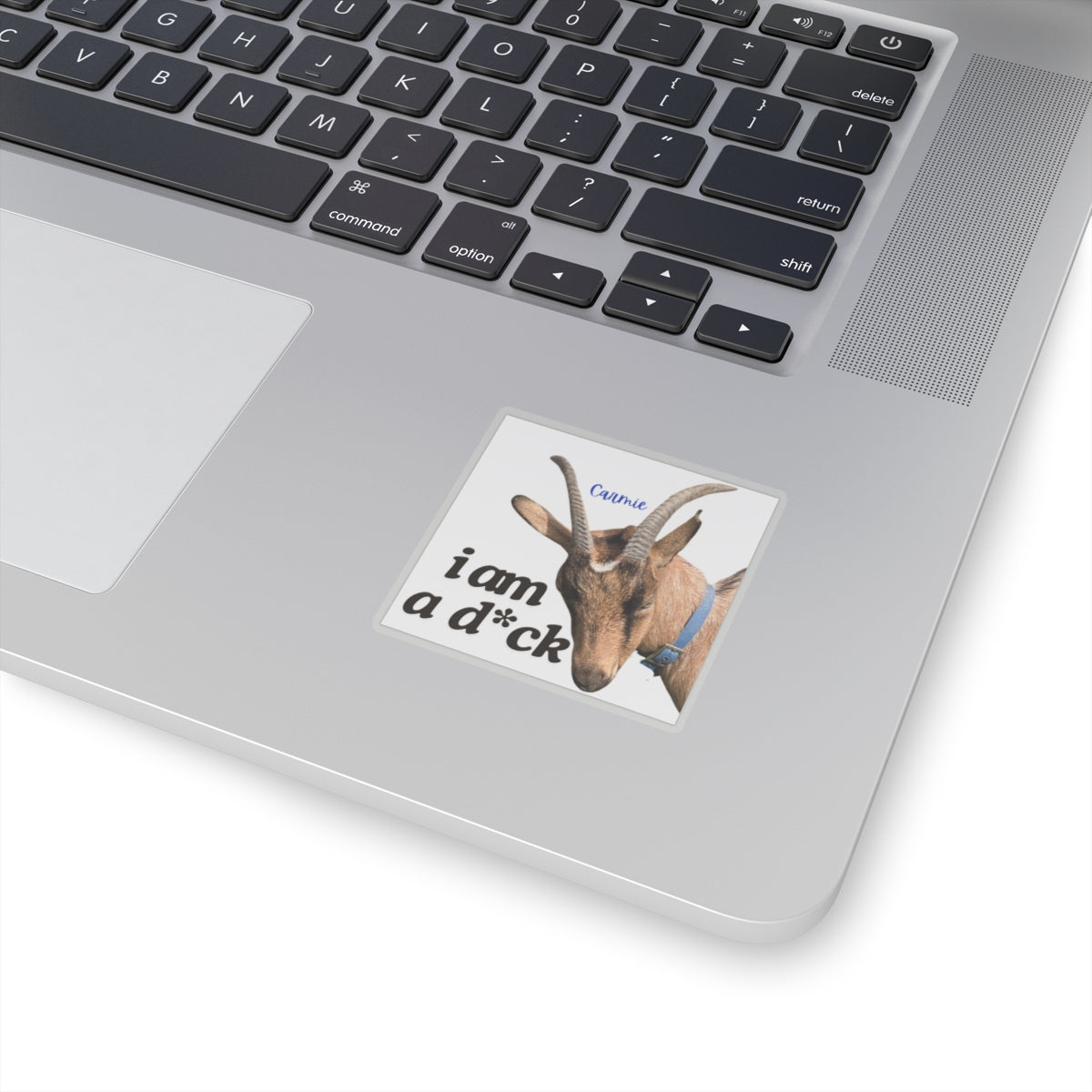 i am a d*ck Carmie - Kiss-Cut Stickers - Graleske